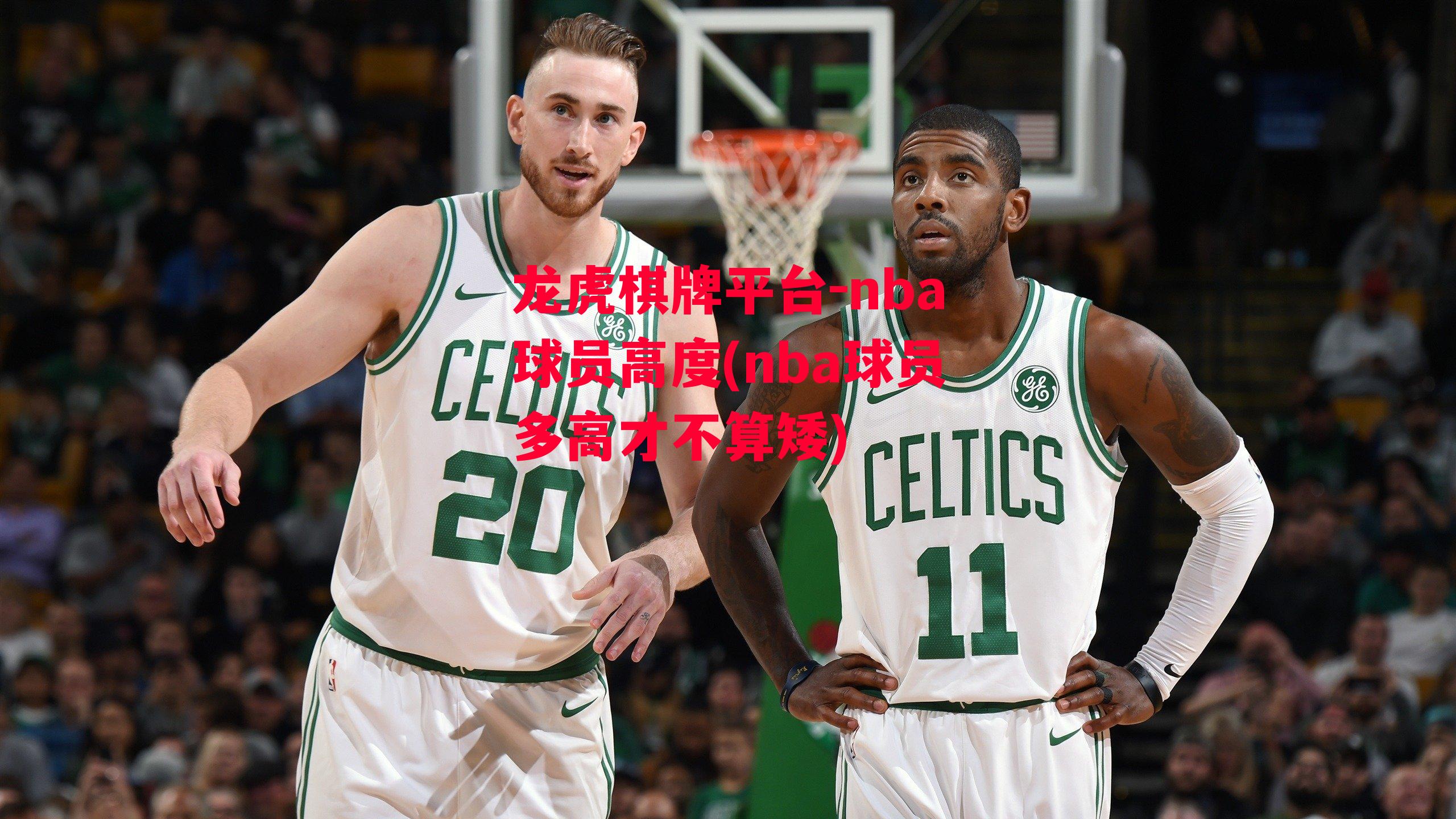 龙虎棋牌平台-nba球员高度(nba球员多高才不算矮)